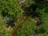 7 Rancho De Ortiz - Photo 5