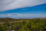 24 Rancho De Ortiz - Photo 29