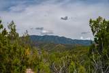 24 Rancho De Ortiz - Photo 31