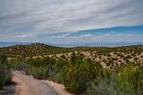 24 Rancho De Ortiz - Photo 43