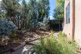 870 Paseo De Don Carlos - Photo 41