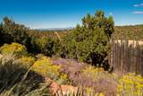 870 Paseo De Don Carlos - Photo 46