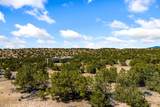 24 Conejo Trail - Photo 8