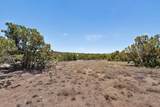 0 Blue Canyon Trail - Photo 22