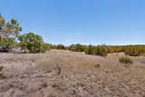 0 Blue Canyon Trail - Photo 24
