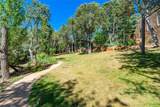 2208 Paseo Primero - Photo 22