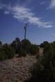 0 County Road B40a - Photo 16