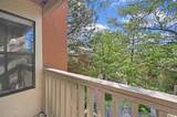 941 Calle Mejia - Photo 14