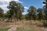 50 Silver Feather Trail - Photo 35