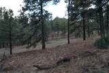 0 A015 County Road - Photo 2