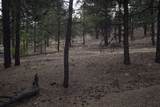 0 A015 County Road - Photo 22