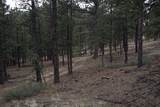 0 A015 County Road - Photo 24