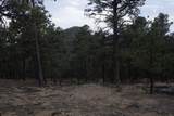 0 A015 County Road - Photo 28
