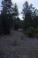 0 A015 County Road - Photo 29