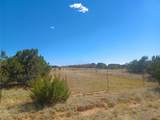22 Calle Francisca - Photo 1