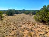 22 Calle Francisca - Photo 6