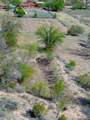 228 B County Road 84 - Photo 9
