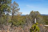 Lot 10 & Tract 2 Off Monte Ver From Frontage 2116 - Photo 6