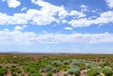 Lot 3 Rio Grande Estates - Photo 1