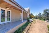 61 Ortiz Road - Photo 29