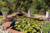 61 Ortiz Road - Photo 34