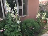 22 Mimosa Road - Photo 36