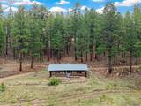976 Vallecitos Road - Photo 42