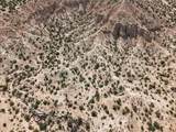 TBD Banana - Photo 9