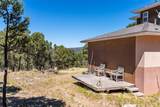 16 Coyote Lane - Photo 50