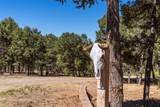 16 Coyote Lane - Photo 57