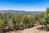 16 Coyote Lane - Photo 62