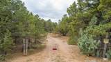 83 Pecos Barillas Road - Photo 11