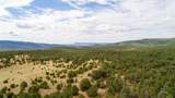 83 Pecos Barillas Road - Photo 29