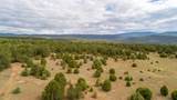 83 Pecos Barillas Road - Photo 44