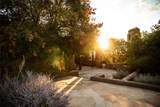 37 Rancho Alegre - Photo 10