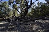 0 Pinon Ridge Road - Photo 10