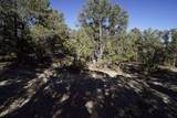 0 Pinon Ridge Road - Photo 11