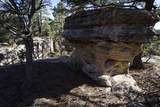 0 Pinon Ridge Road - Photo 16
