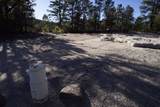 0 Pinon Ridge Road - Photo 17