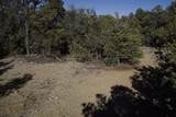 0 Pinon Ridge Road - Photo 24