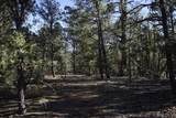 0 Pinon Ridge Road - Photo 26