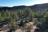 0 Pinon Ridge Road - Photo 38