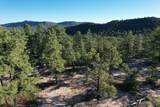 0 Pinon Ridge Road - Photo 39