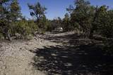 0 Pinon Ridge Road - Photo 9