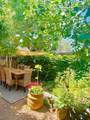 717 Calle Beatrice - Photo 2