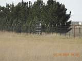 32 County Road 28 - Photo 13
