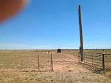 32 County Road 28 - Photo 6