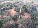 345 New Moon Overlook Road - Photo 13
