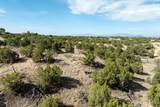 245 Arroyo Hondo Trail - Photo 11