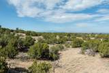 245 Arroyo Hondo Trail - Photo 6